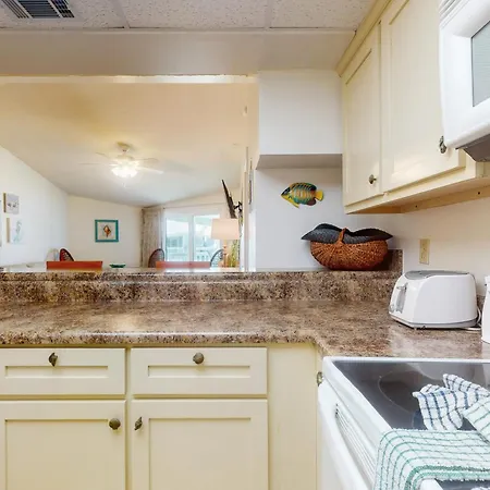 Sand Dollar E205-3