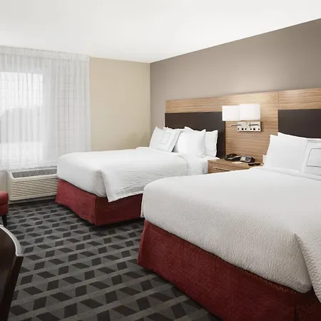Towneplace Suites By Marriott Tampa South-2