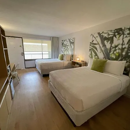 Newly Renovated Room In Cozy Hotel Near Disney 2-3