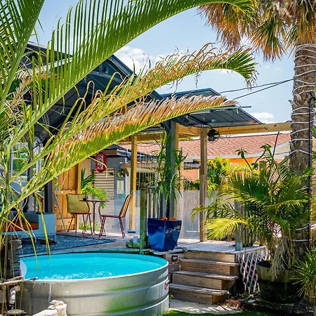 World Solo Travel'S Welcomed At St Pete Home-2