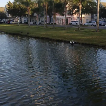 True Happiness, Housing Near Disney Word-2