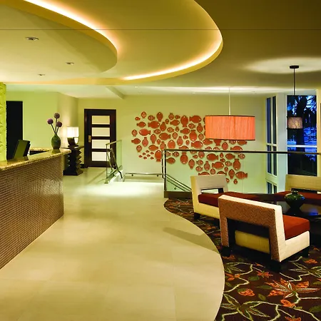 Residence Inn By Marriott St. Petersburg Treasure Island-2