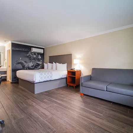 Equus Inn I75-3