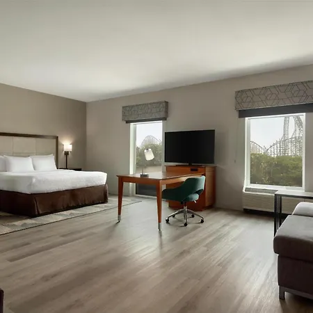 Hampton Inn&Suites by Hilton Tampa Busch Gardens Area-2