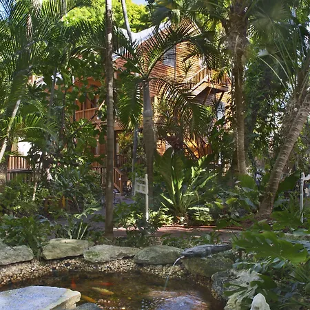 Island City House-3