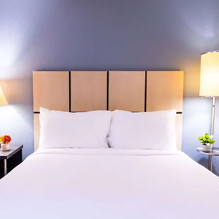 Sonesta Simply Suites Jacksonville-2