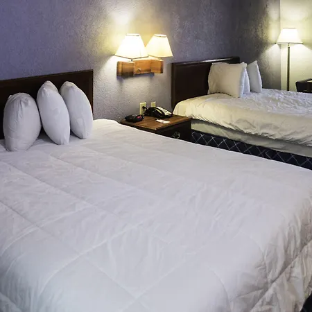 Regency Inn & Suites - Saint Augustine-2