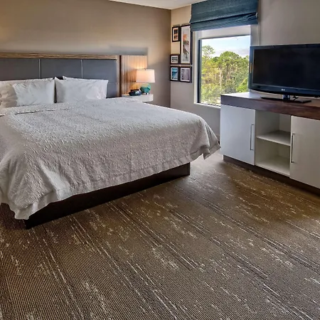 Hampton Inn & Suites Fort Myers Estero-3
