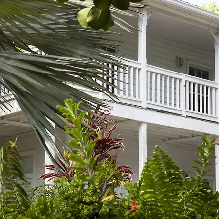 Paradise Inn - Adult Exclusive-3