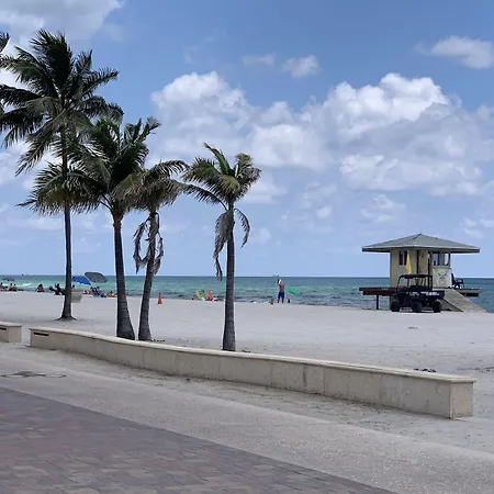 Hollywood Beach Seagull-3