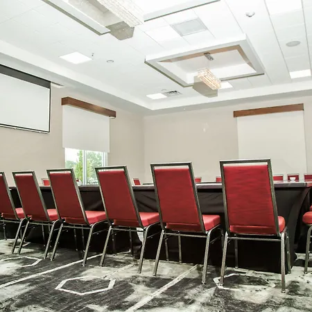 Hilton Garden Inn Tampa Suncoast Parkway-2