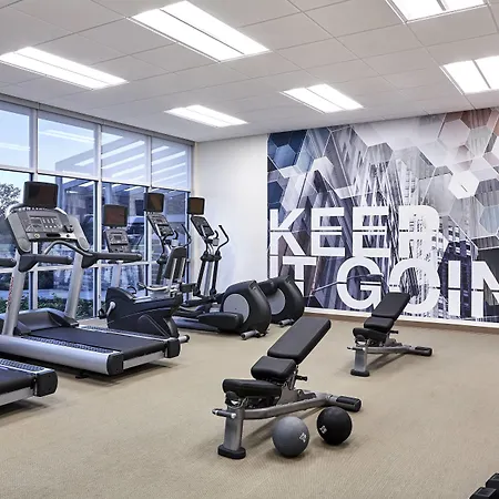 Springhill Suites By Marriott Punta Gorda Harborside-2