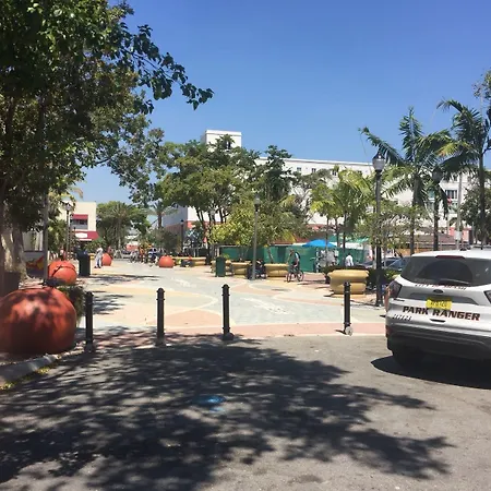Zbunkz - Little Havana-2
