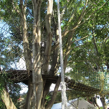 Hoosville Hostel-2