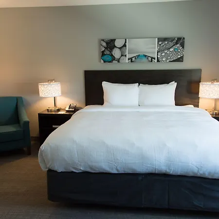 Mainstay Suites Sarasota I-75-3