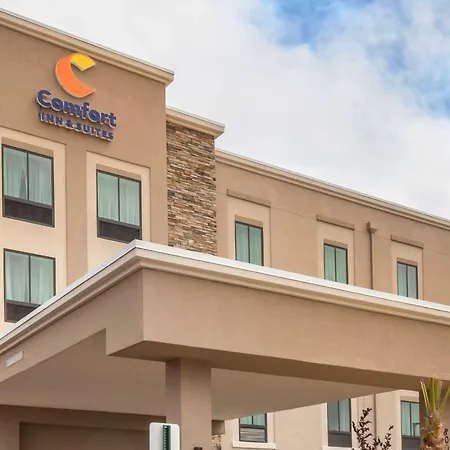 Comfort Inn & Suites Jacksonville - Orange Park Near Naval Air Station-3