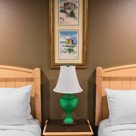 The Gator Den-3