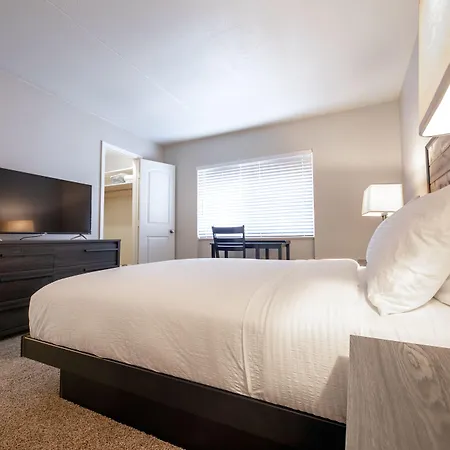 Stay Avenida Westshore-3