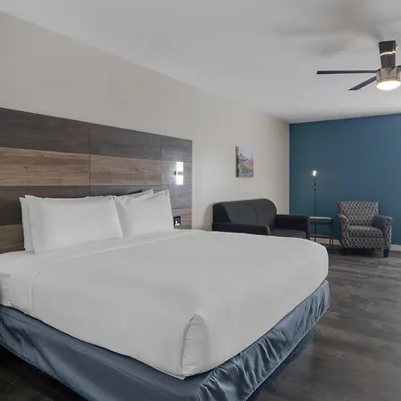 Hom Hotel Gainesville, Surestay Collection By Best Western-2