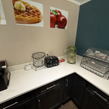 Quality Inn Ormond Beach - Daytona-3