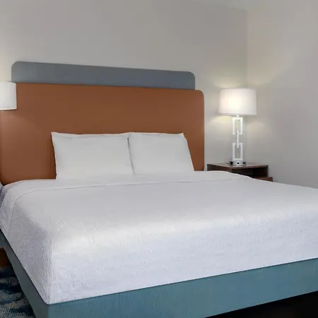 Hampton Inn & Suites Tampa Airport Avion Park Westshore-3