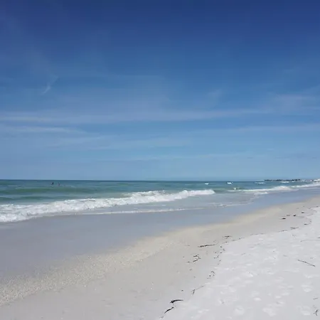 Anna Maria Island Tree House-2