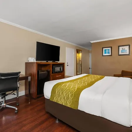 Comfort Inn Oceanside Deerfield Beach-3