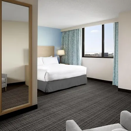 Embassy Suites By Hilton Tampa Airport Westshore-3