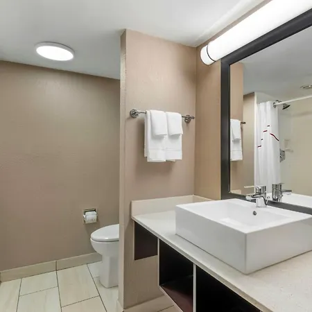 Red Roof Inn Tampa Bay - St. Petersburg-3