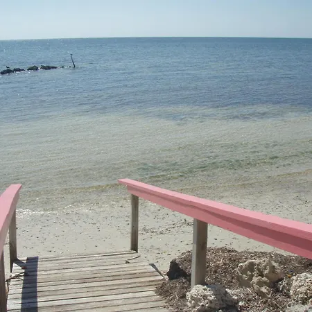 Full Time Lic Mgr - Modern Oceanfront Condo! Beautiful Ocean Views! Beach Resort! 2 King Beds!-3