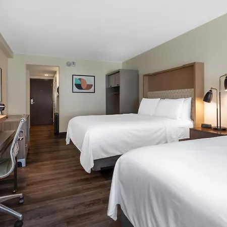 Holiday Inn - Tampa North By Ihg-3