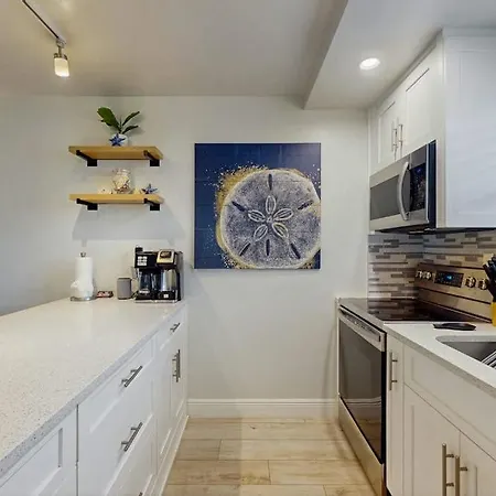 Sand Dollar-2