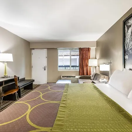 Super 8 By Wyndham Riviera Beach West Palm Beach-3
