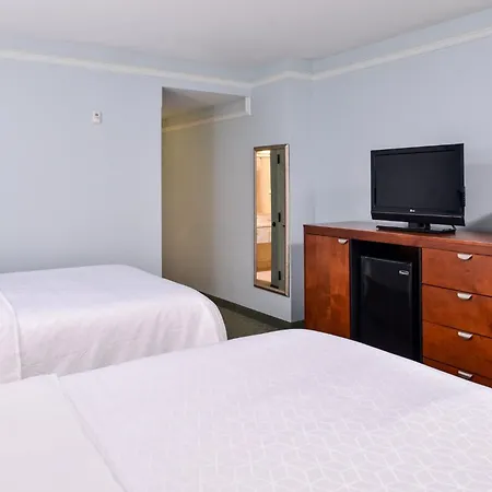 Holiday Inn Express Tampa North Telecom Park By Ihg-2