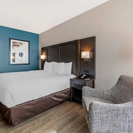 Comfort Inn & Suites Miami International Airport-3