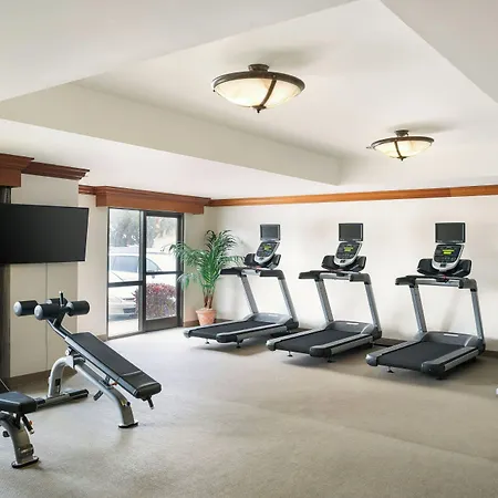 Springhill Suites By Marriott Tampa Westshore Airport-2