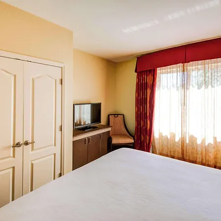 Hilton Garden Inn Tampa Ybor Historic District-2