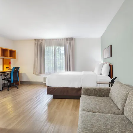 Mainstay Suites Tampa Moffitt-Usf-2