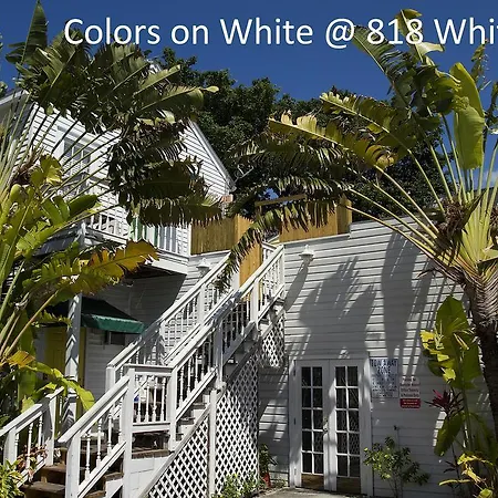 Colors On White-2