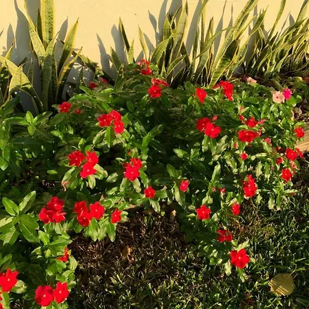 Miami Private Guest House-3