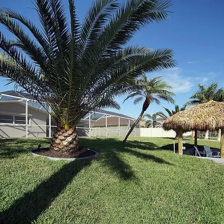Majestic Palms-2