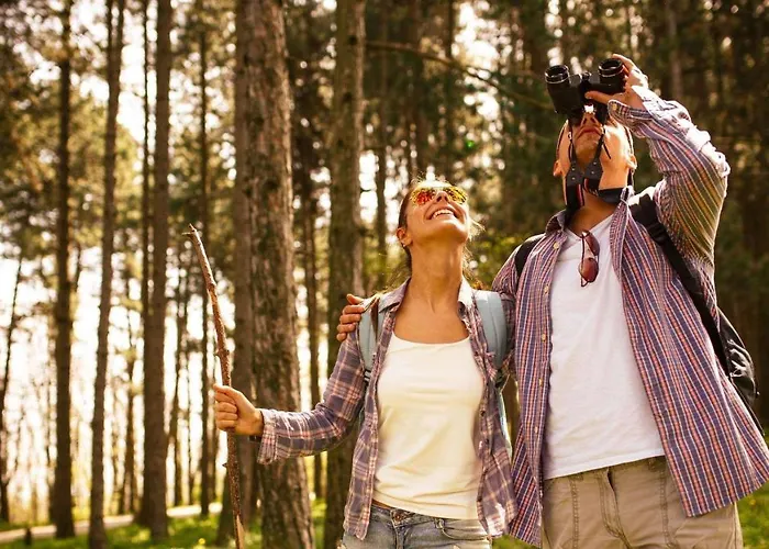 Silver Springs Hotels