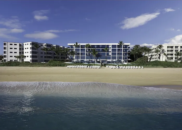 Haustierfreundliches Tideline Palm Beach Ocean Resort&Spa