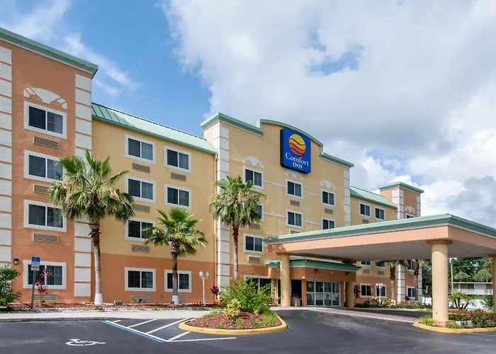 Haustierfreundliches Comfort Inn Kissimmee-Lake Buena Vista South