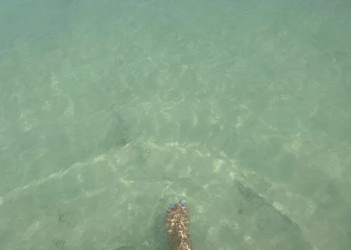 Kokis Paradise Key Key Largo