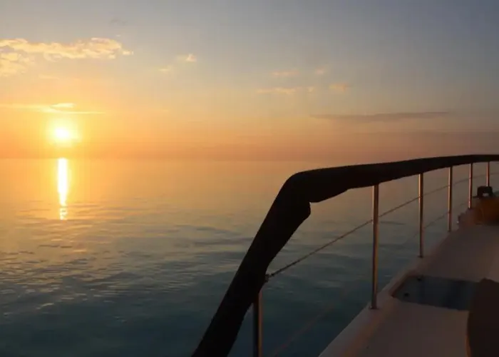 Hotel Boat Trip Adventure In Florida Miami Beach