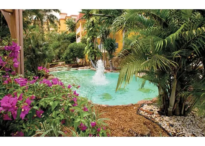 Discover The Charm And The Sea Gardens, An Exceptional Gold Coast Studio Condo Retreat - Special Offer Now! Pompano Beach