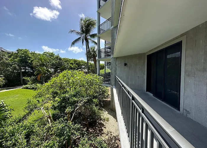 Paradise Found Cayo Hueso acceptant les animaux