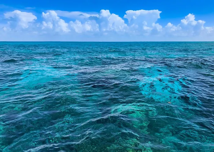 Sunrise Suites - Butterfly Nest #107 Key West