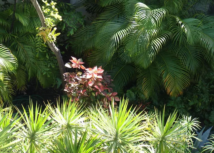 Key West Motels